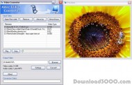 Amic Video Converter screenshot